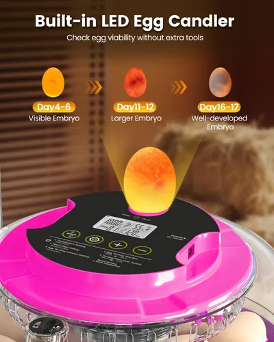 Miniatura 6 de Incubadora para incubar huevos, capacidad de 18 huevos, incubadoras con ovoscopio, girador automático de huevos, control de temperatura y humedad