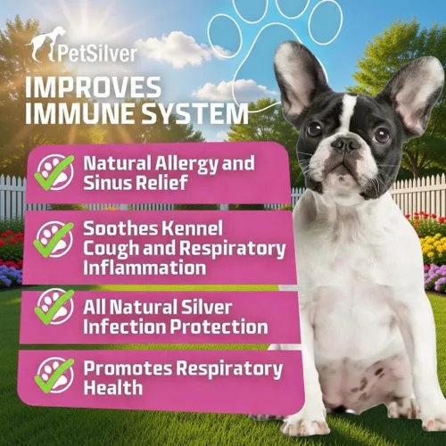 Miniatura 2 de PetSilver Apoyo inmunológico, solución nebulizadora natural, promueve la salud respiratoria en gatos y perros, alergias, tratamiento de senos