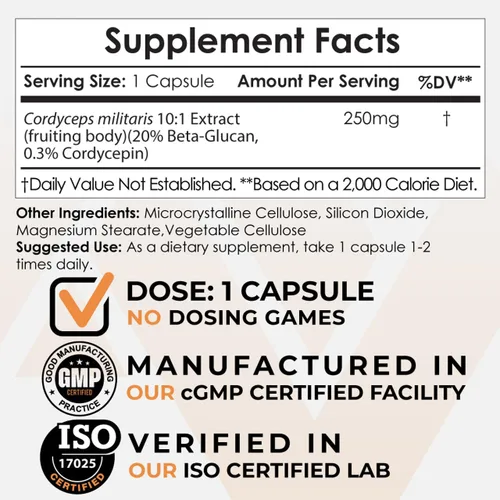 Miniatura 3 de Nootropics Depot Cordyceps Cápsulas de hongos Extracto corporal fructífero entero 10:1 250 mg 180 unidades Cordyceps militaris