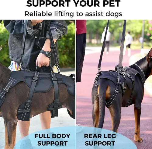 Miniatura 5 de BINGPET Arnés de elevación para perros, cabestrillo de cuerpo completo para perros grandes y medianos con soporte para patas traseras, arnés