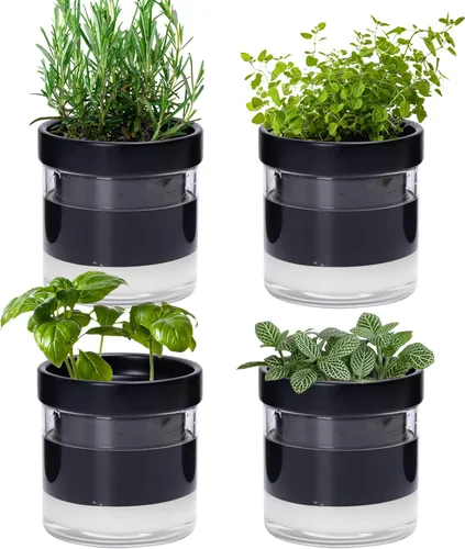 Miniatura 20 de Maceta Phoenix Vine de 6 Pulgadas con Riego Automático, Maceta de Arcilla Terracota con Reservario de Vidrio para Plantas de Interior, Hierbas