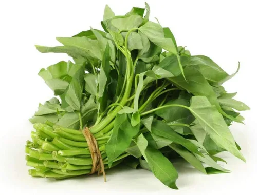 450 Kong Xin CAI Seeds – Más de 0.74 oz de semillas vegetales de hoja verde para plantar jardín – Semillas Choy Ong sin OMG y 100% producidas en 450