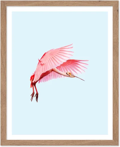 Miniatura 66 de Poster Master Vintage James Audubon Póster - Impresión Retro de Cuervo - Arte de Aves de América - Arte de Aves - Regalo para Hombres, Mujeres