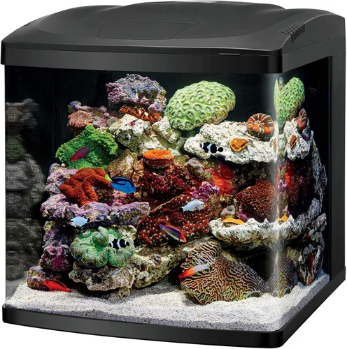 Miniatura 12 de Coralife BioCube, kit de acuario, tanque nano, iluminación LED personalizable, para ambientes de agua salada y agua dulce, 16 galones