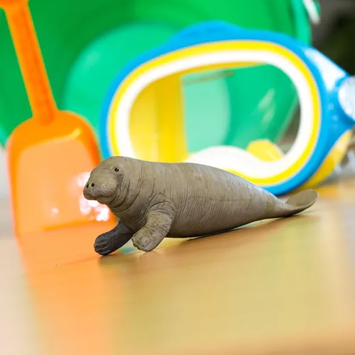 Miniatura 6 de Safari Ltd. Figura de Manatee – Figura detallada de plástico de 6 pulgadas – Divertido juguete educativo para niños, niñas y niños a partir de 3 años