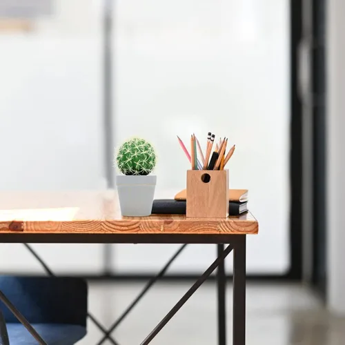 Miniatura 2 de HOMSFOU Cactus en maceta, adornos de oficina, plantas de interior para interiores, macetas pequeñas para interiores, bonsáis de imitación de cactus