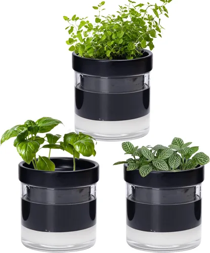 Miniatura 16 de Maceta Phoenix Vine de 6 Pulgadas con Riego Automático, Maceta de Arcilla Terracota con Reservario de Vidrio para Plantas de Interior, Hierbas
