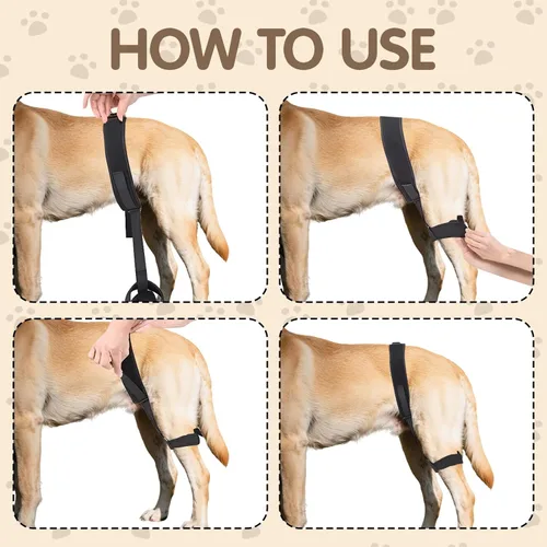 Miniatura 5 de Soporte ortopédico de cadera para perro, soporte para displasia de cadera para perro, soporte para displasia de cadera, artritis, rótula luxante