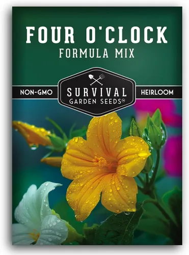 1 paquete de semillas de mezcla de fórmula de cuatro en punto para plantar con instrucciones para cultivar flores coloridas en tu hogar, vegetales o