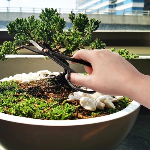 Miniatura 5 de BambooMN Bonsai Basics Set - Tijeras de corte de 7.2 pulgadas y tijeras de mariposa resistentes de 7 pulgadas - 1 juego Juego de cizalla de corte