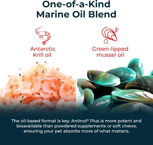 Miniatura 4 de Antinol Plus, Suplemento de movilidad, cadera y articulaciones para gatos, Mejillones de lapa verde y aceite de krill - Suplemento