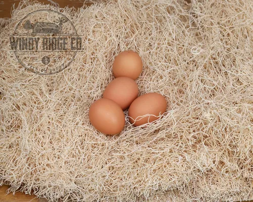 Miniatura 6 de Almohadillas naturales para anidar pollo, paquete de 10 unidades, Aspen Excelsior Bedding - Revestimientos para cajas nido de gallina - Fabricado