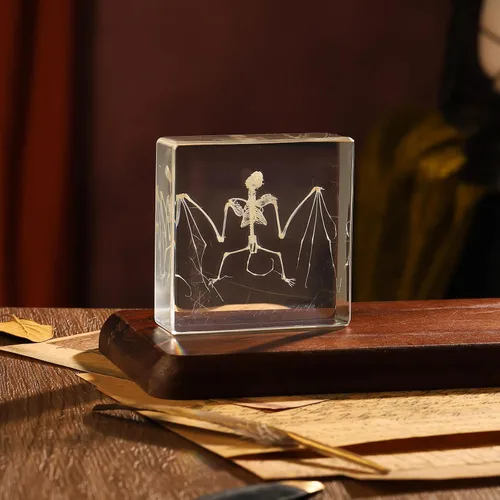 Miniatura 5 de Espécimen de esqueleto de murciélago real en resina para educación científica en el aula, gran regalo para fanáticos de la taxidermia, cráneo