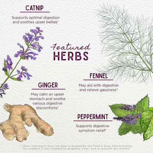 Miniatura 4 de WishGarden Herbs Digestive Rescue, tintura de hierbas orgánicas, jengibre hinojo menta, alivia la hinchazón de gases, gotas líquidas para aliviar