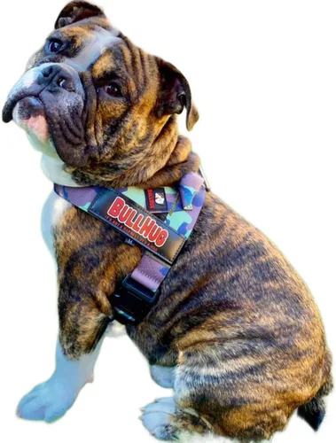 Miniatura 9 de BULLHUG Arnés ajustable para perro, sin tirones, sin estrangulamiento, para bulldogs ingleses, bulldogs franceses, pugs y razas de pecho ancho
