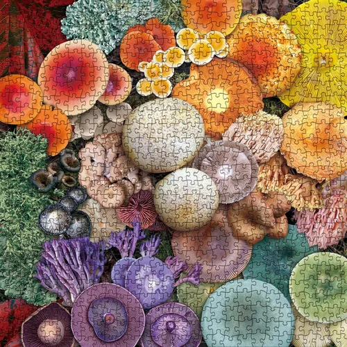 Miniatura 2 de Rompecabezas de hongos de 1000 piezas para adultos, rompecabezas de hongos mágicos, hongos coloridos hongos, naturaleza, vida silvestre, arcoíris