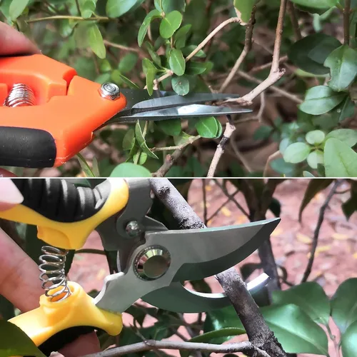 Miniatura 6 de Oligei Paquete de 2 tijeras de podar de acero inoxidable, tijeras de jardín, tijeras de jardín, herramientas de jardinería con mango de agarre suave