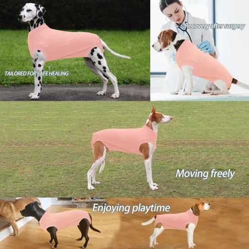 Miniatura 4 de Traje de Recuperación Wabdhaly para Perros, Traje de Cone de Perro con Cremallera Alternativa para Cirugía de Esterilización Femenina, Traje
