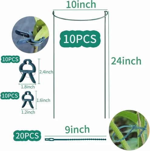 Miniatura 2 de TCBWFY Paquete de 10 estacas de soporte para plantas de peonía, 10 pulgadas de ancho x 24 pulgadas, jaulas de peonía de alta resistencia de 0.177 in