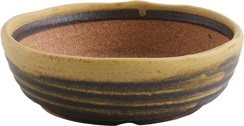 Wazakura Serie Shigaraki Maceta de Bonsái de Cerámica Esmaltada con Rayas de Polvo Amarillo Hecha en Japón, Contenedor de Entrenamiento para Jardín,