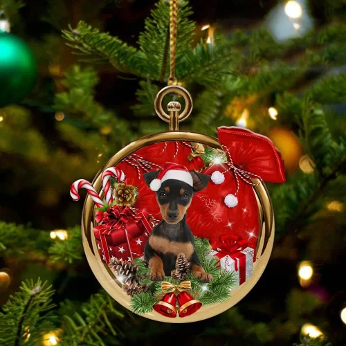Miniatura 11 de Nazenti Adorno personalizado de bola de Navidad de pastor australiano – Adorno de perro personalizado para amantes de las mascotas, colgante