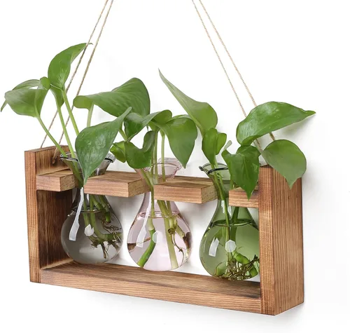 Miniatura 11 de Estación de Propagación de Plantas Terrario de Plantas Regalos Únicos de Cumpleaños para Mujeres Decoración para Hogar y Oficina Maceta con Soporte