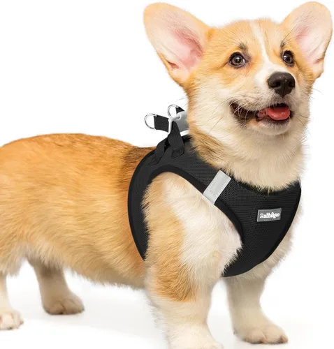 Miniatura 86 de rabbitgoo Arnés para perro pequeño, chaleco de malla suave para cachorros con hebilla de seguridad, arnés reflectante transpirable para mascotas