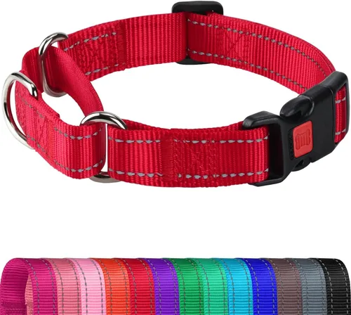 Miniatura 15 de Joytale - Collar martingale para perros, reflectante de alta resistencia para seguridad, hebilla de liberación rápida, collares ajustables de nailon