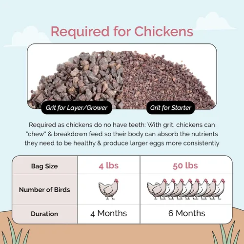 Miniatura 6 de Mile Four Grano de pollo (50 libras) para pollos en capas y cultivadores de 8 a 20 semanas o más, 100 % mineral natural de grano de pollo, cuarcita