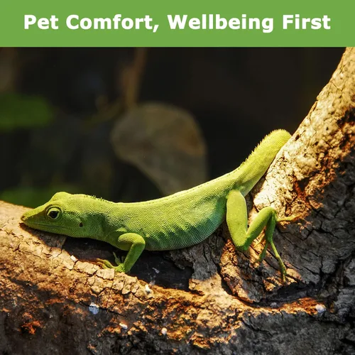 Miniatura 4 de Bombillas de calor para reptiles E26 de 60 W, luz UVA para dragón barbudo, lagarto, tortuga, pollitos, otros reptiles y anfibios, lámparas de calor