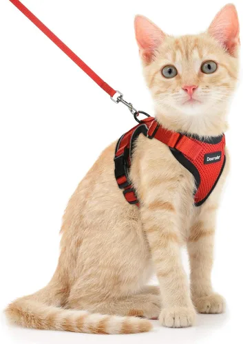 Miniatura 23 de Dooradar Juego de arnés y correa para gato, chaleco ajustable seguro a prueba de escapes, para caminar, chaqueta de malla suave y transpirable