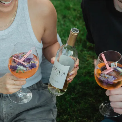 Miniatura 6 de JØYUS Vino Rosado Sin Alcohol, Vino Desalcoholizado Premiado Mejor de su Clase, Ligero y Refrescante, Bajo en Azúcar y Calorías, 750 ml (1 Botella)