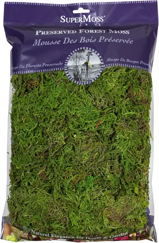 SuperMoss (25322) Musgo forestal preservado, verde fresco, 8 onzas