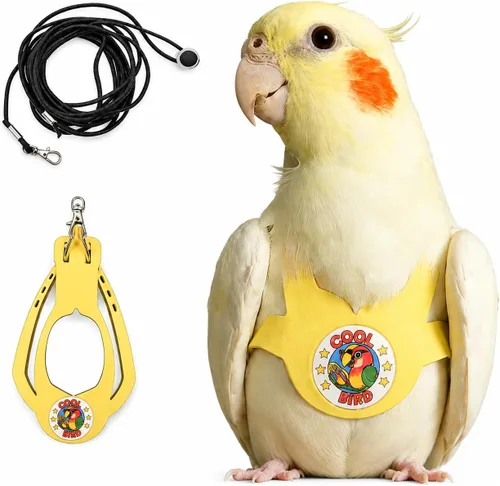Miniatura 8 de Juego de arnés ajustable y correa para pájaros pequeños, apto para periquitos, conures, cacatúas, mejillas verdes, loros cuáqueros (verde, XS) 6350-6