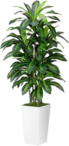 Miniatura 12 de Árbol artificial de Dracaena de 5 pies, árbol falso con maceta alta negra, planta falsa de yuca sintética en maceta, planta artificial para el Negro