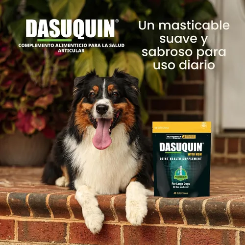 Miniatura 4 de Nutramax Dasuquin para perros grandes, suplemento de salud articular, contiene glucosamina para perros, además de condroitina, ASU, MSM y más, apoya
