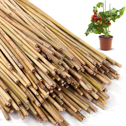 Miniatura 8 de Suclain Juego de 100 estacas de bambú para plantas trepadoras, estacas de bambú resistentes para plantas trepadoras, tomates, frijoles, flores