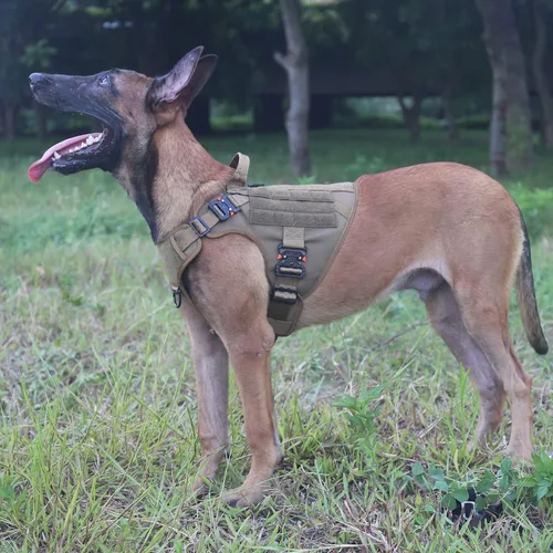 Miniatura 2 de ICEFANG Arnés táctico para perro con 4 hebillas de metal, chaleco, equipo para transportar carga, ligero y modular para perro con asa, sin correa