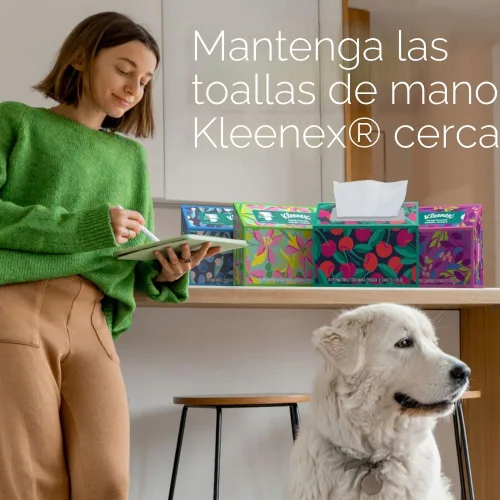 Miniatura 5 de Kleenex Toallas de papel desechables para manos, 6 cajas, 60 toallas por caja (360 toallas en total), el empaque puede variar