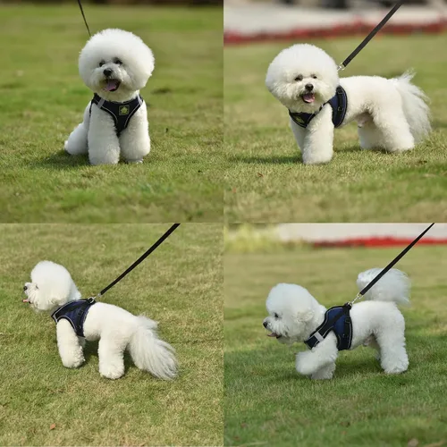 Miniatura 18 de Juego de arnés y correa para perros pequeños, arnés reflectante ajustable sin tirones, arnés transpirable suave para cachorros y perros pequeños