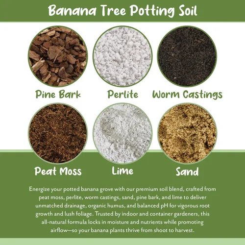 Miniatura 5 de Soil Sunrise Mezcla de tierra para macetas de plátano (12 cuartos de galón) – Mezcla mezclada a mano para interiores y exteriores para plantas