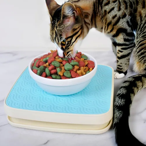 Ant Away Tray Plus – Base de alimentación resistente a prueba de hormigas para mascotas – para hormigas grandes y uso al aire libre – No requiere