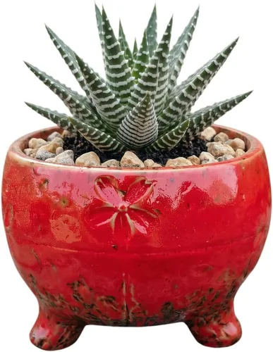 Miniatura 27 de Bonita maceta circular de cerámica para decoración del hogar y jardín, suculentas, cactus, maceta no incluida (azul, 3.19 pulgadas)