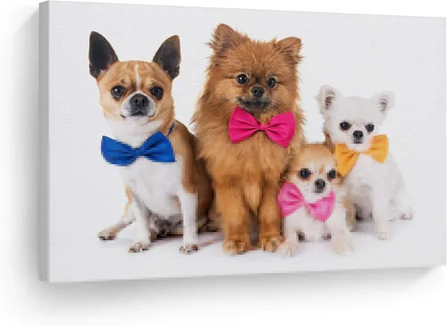 Miniatura 16 de Diseño de arte de la sonrisa Retrato de lindo Yorkie Yorkshire Terrier perro animal lienzo de pared impresión arte del dueño de mascotas amante