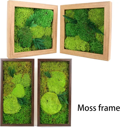Miniatura 5 de Musgo decorativo de musgo preservado de 1.5 pies cuadrados para manualidades, arte, decoración de pared, musgo verde amarillo Amarillo Verde