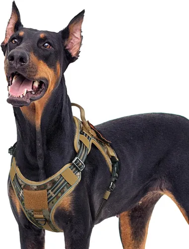 Miniatura 10 de rabbitgoo - Arnés para perros pequeño sin tirones, chaleco táctico de servicio con Molle y asa de control, arnés militar ajustable y reflectante