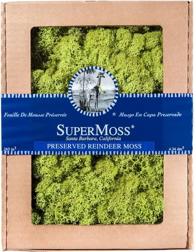 Miniatura 3 de SuperMoss (21401) Musgo de reno, musgo preservado suave para decoración del hogar, manualidades, terrarios, diseño floral y decoraciones de boda