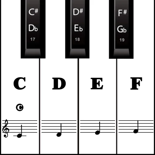 Pegatinas para teclado de piano para principiantes, etiquetas de teclas de piano reutilizables y protectoras, pegatinas de notas de piano para