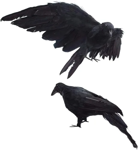 Etistta Paquete de 2 cuervos realistas de tamaño real, extra grandes, hechos a mano con plumas negras, para decoración de Halloween, pájaros, L (13