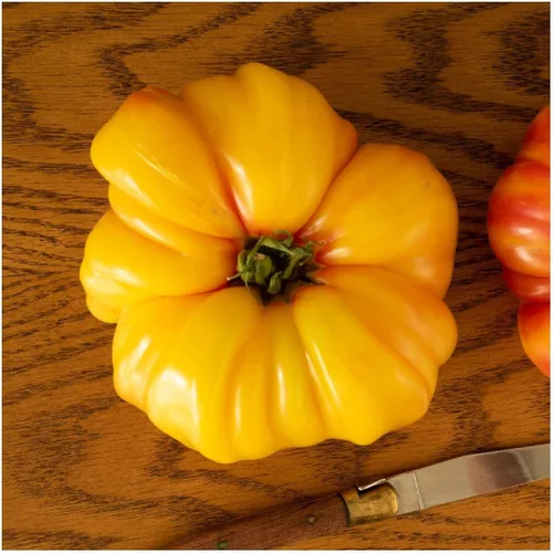 Miniatura 3 de Everwilde Farms - Semillas de tomate tradicionales de brandywine amarillo orgánico de 1 onza - Paquete Gold Vault